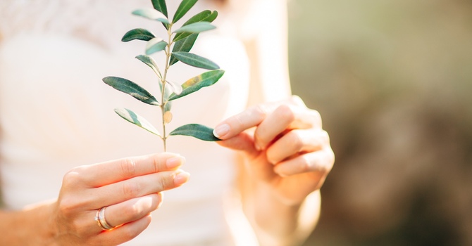 Young Adult and Late Teen Counselling