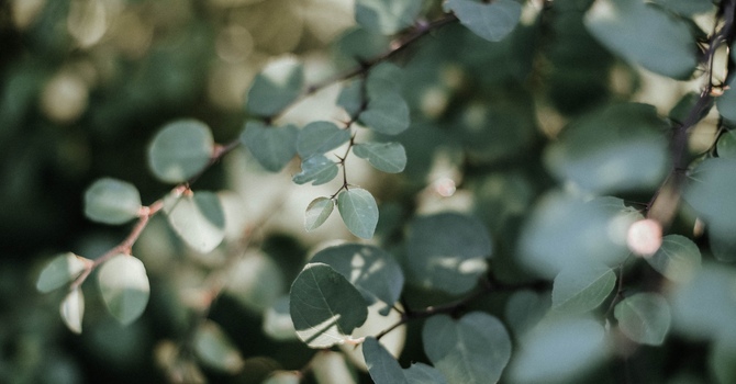 Adult Mental Health Counselling